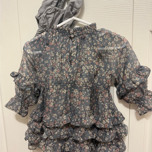 Floral Ruffle Sheer Dress - Picture 2 of 2